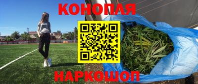 индика Шахты