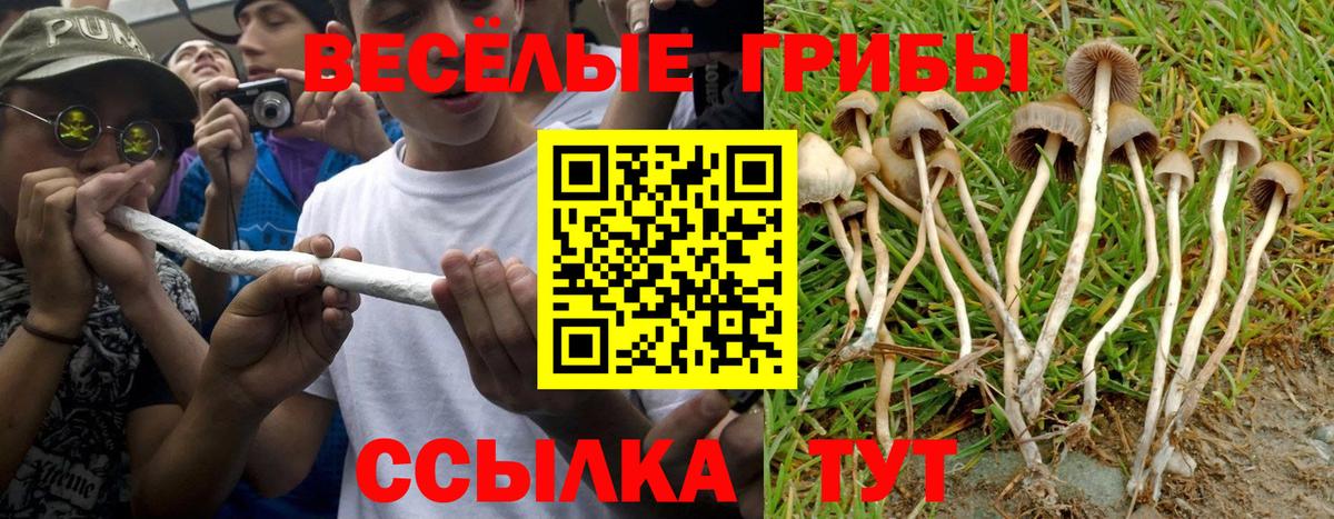 Архангельск  Галлюциногенные грибы Psilocybe  Вход с VPN  Псилоцибиновые грибы GOLDEN TEACHER 